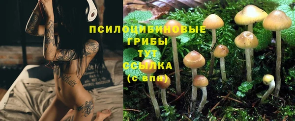 метадон Армянск