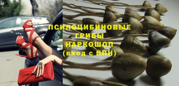 мет Арсеньев