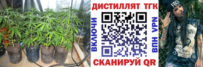 ТГК концентрат  Купить  Межгорье 